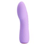 12 Fonksiyonlu Küçük Vibratör