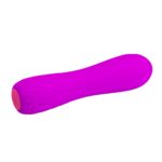12 Modlu Küçük Vibratör