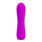 12 Modlu Mini Vibratör