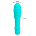 Mini Vibratör