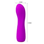 Şarjlı Mini Vibratör