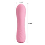 Şarjlı Mini Vibratör
