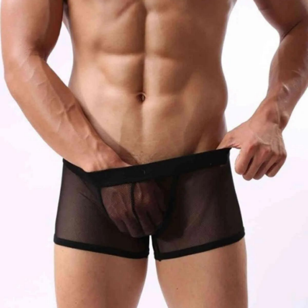Fantezi Transparan Tül Çekici Erkek Boxer