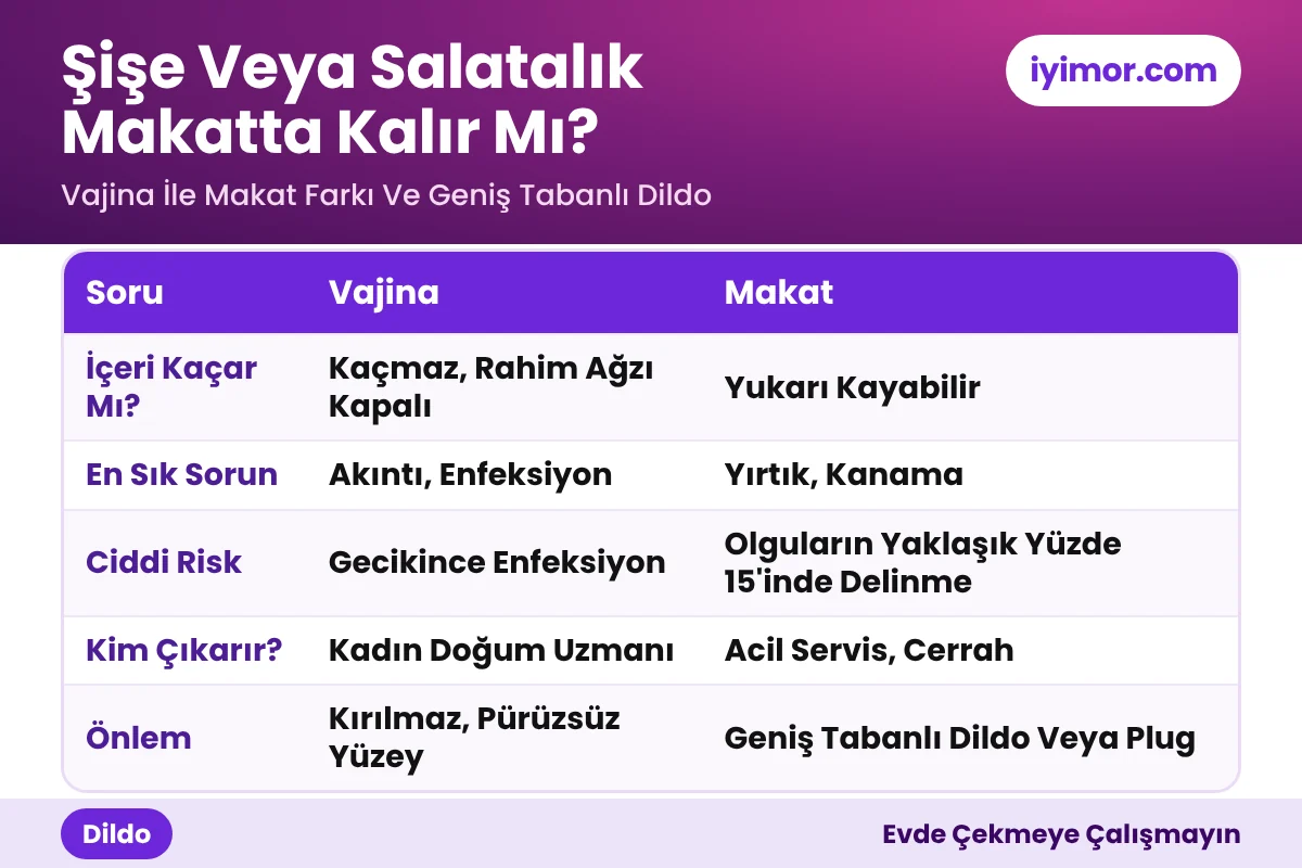 Şişe Veya Salatalık Makatta Kalır Mı? Geniş Tabanlı Dildo Farkı Şişe Veya Salatalık Makatta Kalır Mı: Vajina İle Makat Karşılaştırması Ve Geniş Tabanlı Anal Dildo Önlemi