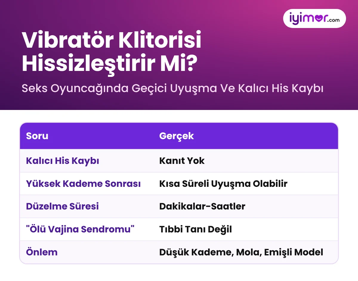 Vibratör Klitorisi Hissizleştirir Mi: Kalıcı His Kaybına Kanıt Yok, Yüksek Kademe Sonrası Uyuşma Dakikalar-Saatler İçinde Geçer