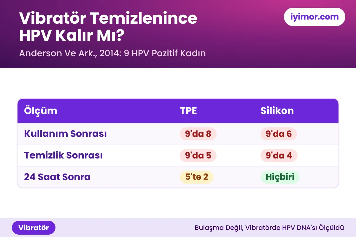 Vibratör Temizlenince HPV Kalır Mı: TPE Ve Silikon Vibratörde Kullanım, Temizlik Ve 24 Saat Sonra HPV DNA Sonuçları